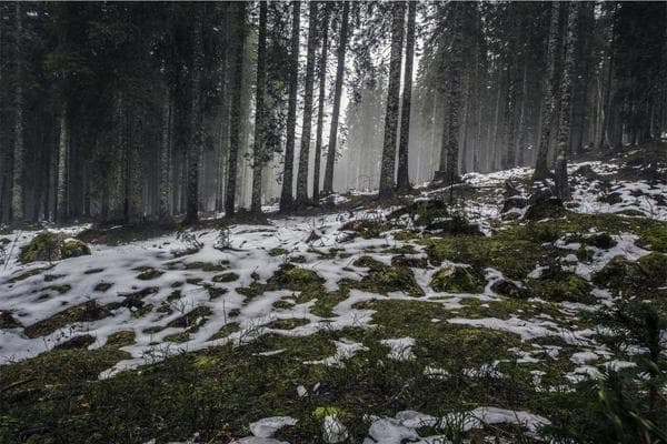 Berita Internasional Terkini: Perkembangan Situasi 5 yang Perlu Anda Ketahui